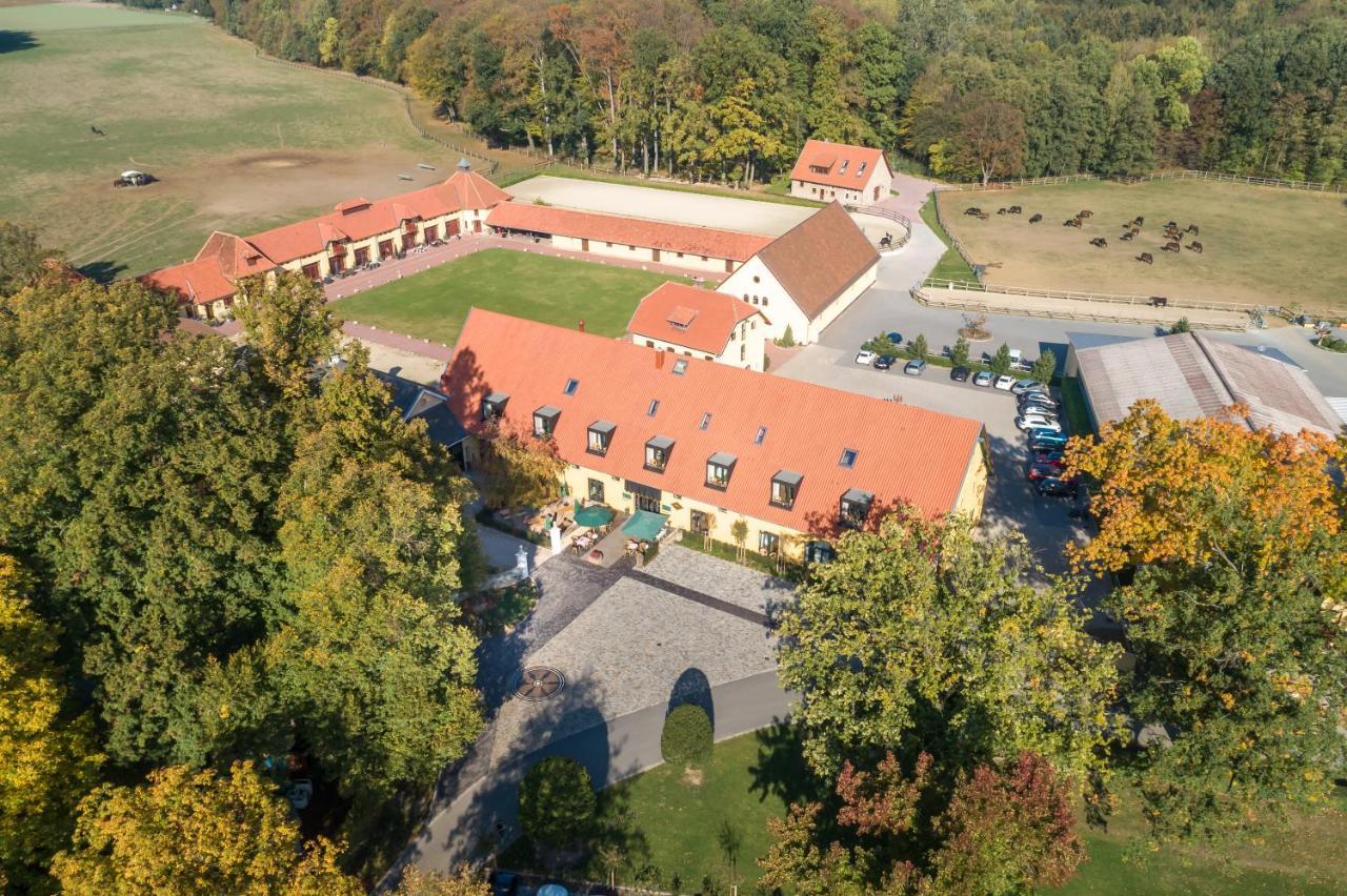 Hotel Rittergut Osthoff Georgsmarienhütte Εξωτερικό φωτογραφία